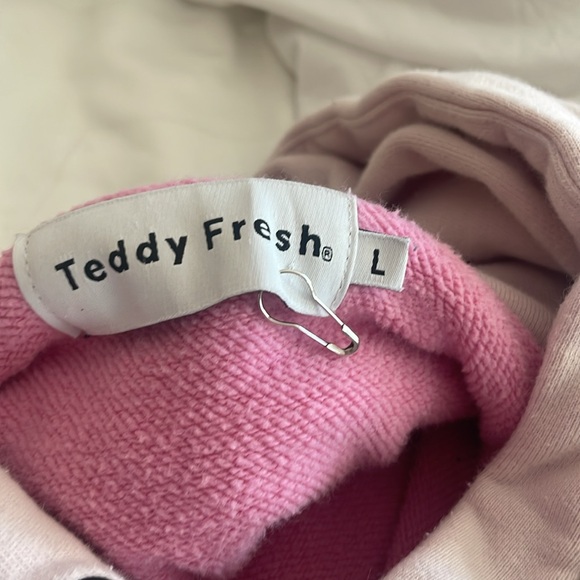 Teddy Fresh Colorblock Hoodie- Size Large- Pastel Colors - Picture 8 of 11